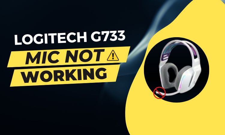 Logitech G733 Mic Not Working
